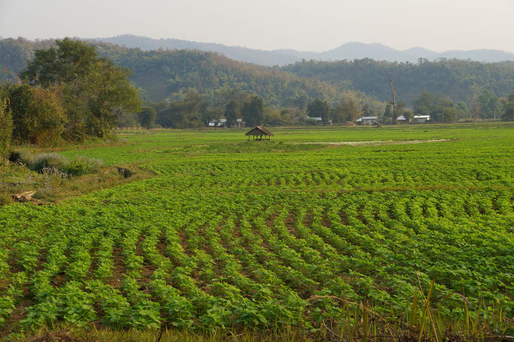 Hsipaw