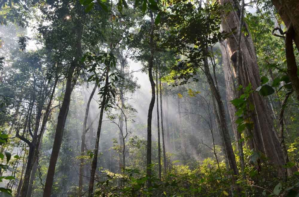 Khao Yai