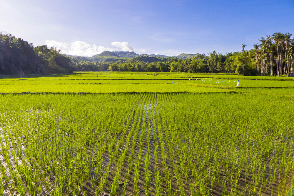 Siquijor