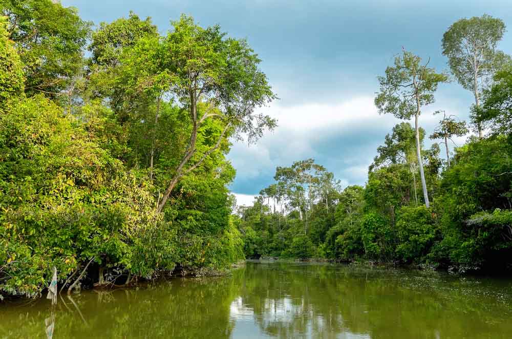 río Kinabatangan