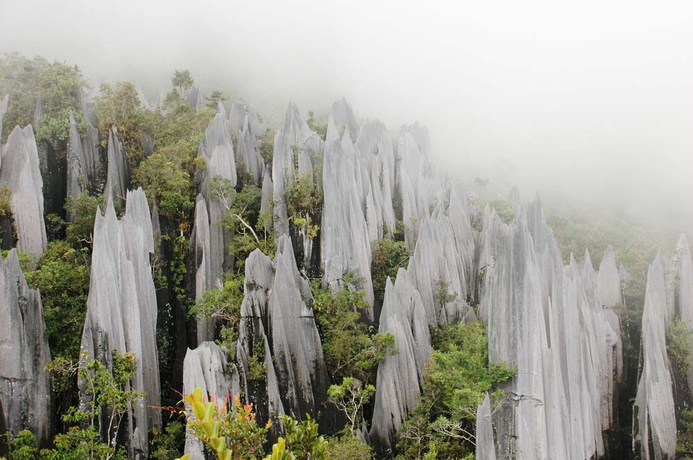 Gunung Mulu